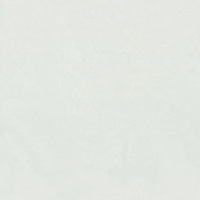 7250-11 скан